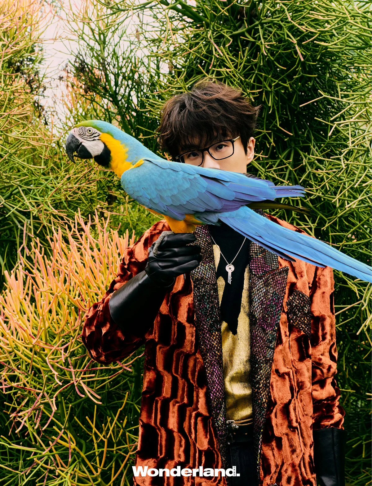 Pre - นิตยสาร Wonderland. สวี่ซง XuSong 许嵩 2025+ โปสการ์ด