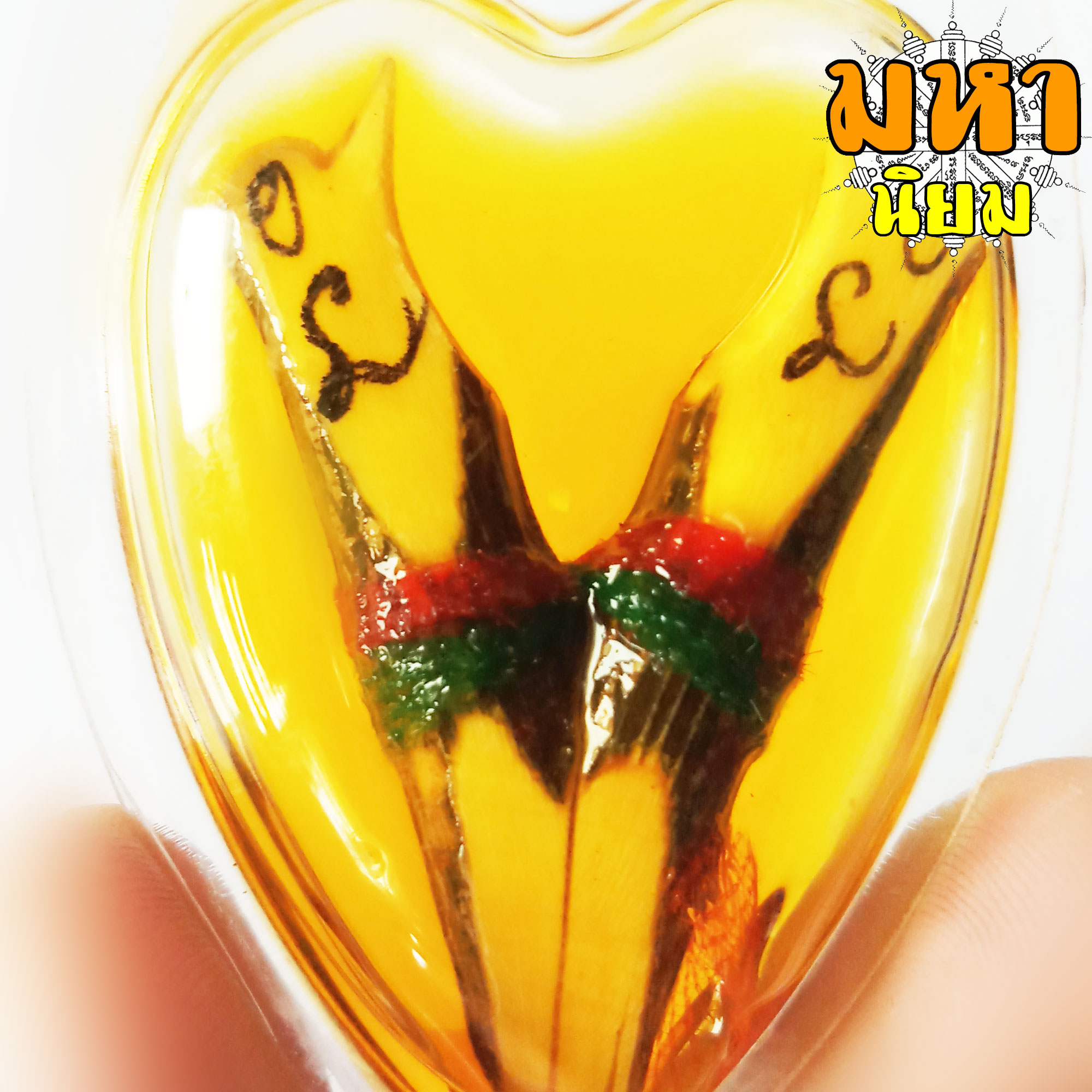 สาริกาลิ้นทอง (องค์ใหญ่) แช่น้ำมัน เลี่ยมกรอบอย่างดี