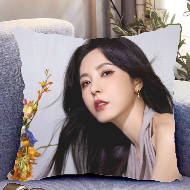 Pre - หมอนลาย zengli เจิงหลี 40 cm ซีรี่ย์จีน หมอนอิง