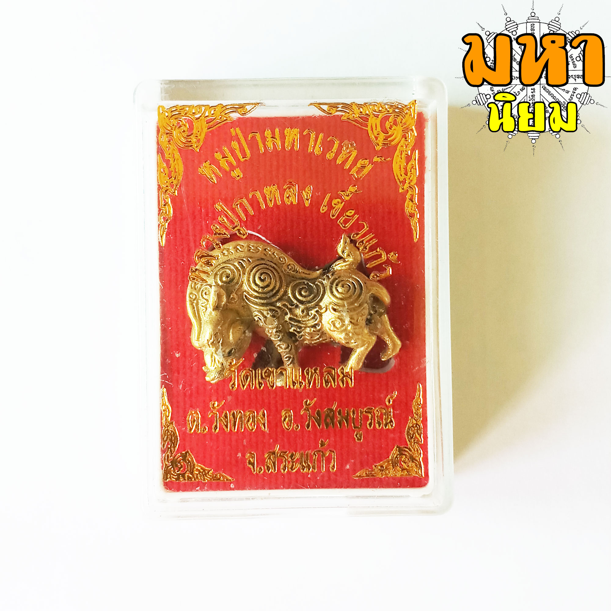 หมูป่ามหาเวทย์ หลวงปู่กาหลง เขี้ยวแก้ว วัดเขาแหลม จ.สระแก้ว