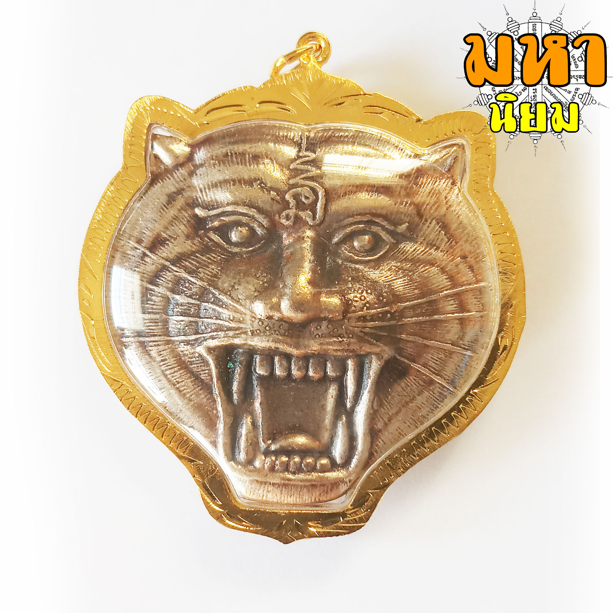 เหรียญหน้าเสือ (องค์ใหญ่) หลวงพ่อเปิ่น วัดบางพระ กรอบทองไมครอน