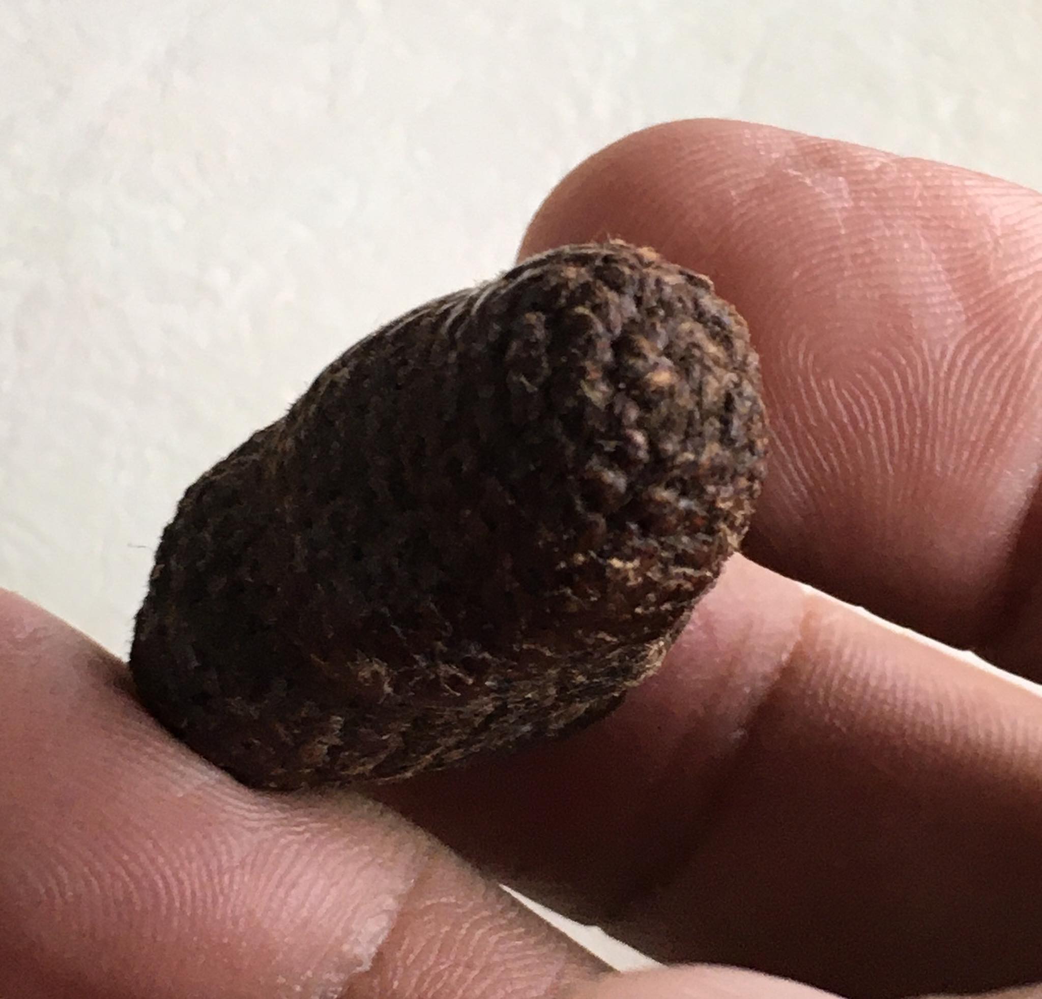 พระปิดตาเนื้อผง คลุงรัก ถักเชือก หลวงพ่อทองสุข วัดสะพานสูง