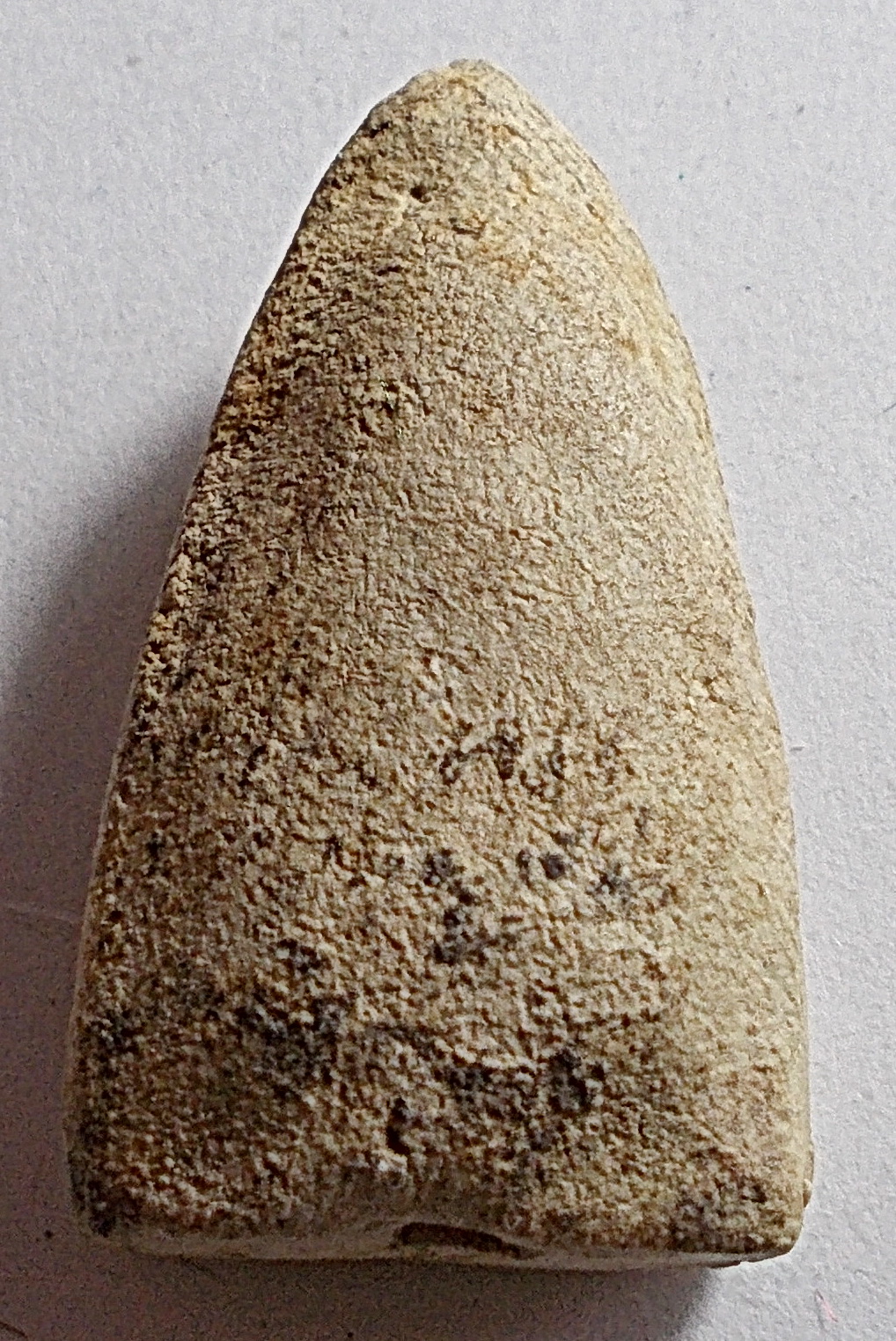 ลป.ทวด อาปาเช่ พิมพ์เล็ก วัดประสาท ปี 06