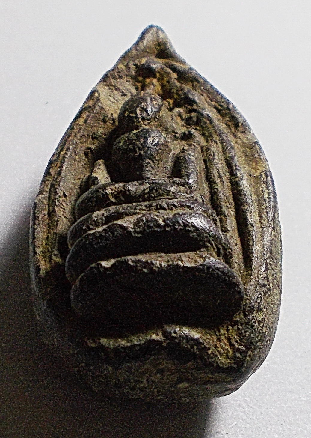 พระกริ่งคลองตะเคียน ลพ.เพลิน วัดหนองไม้เหลือง เพชรบุรี