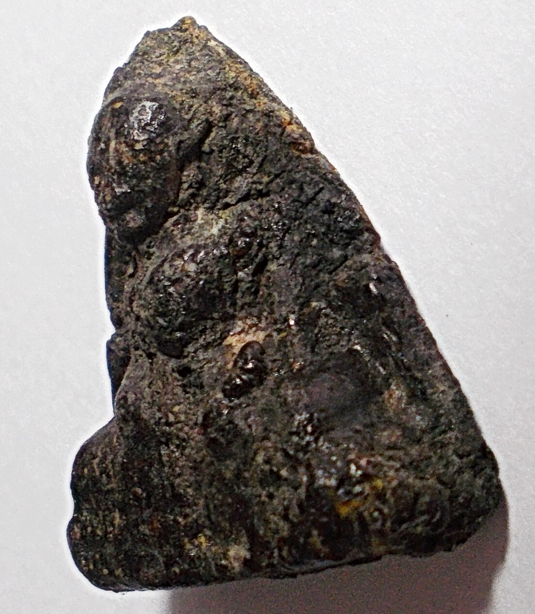 พระว่านจำปาสัก พิมพ์ลพ.โตสมาธิ