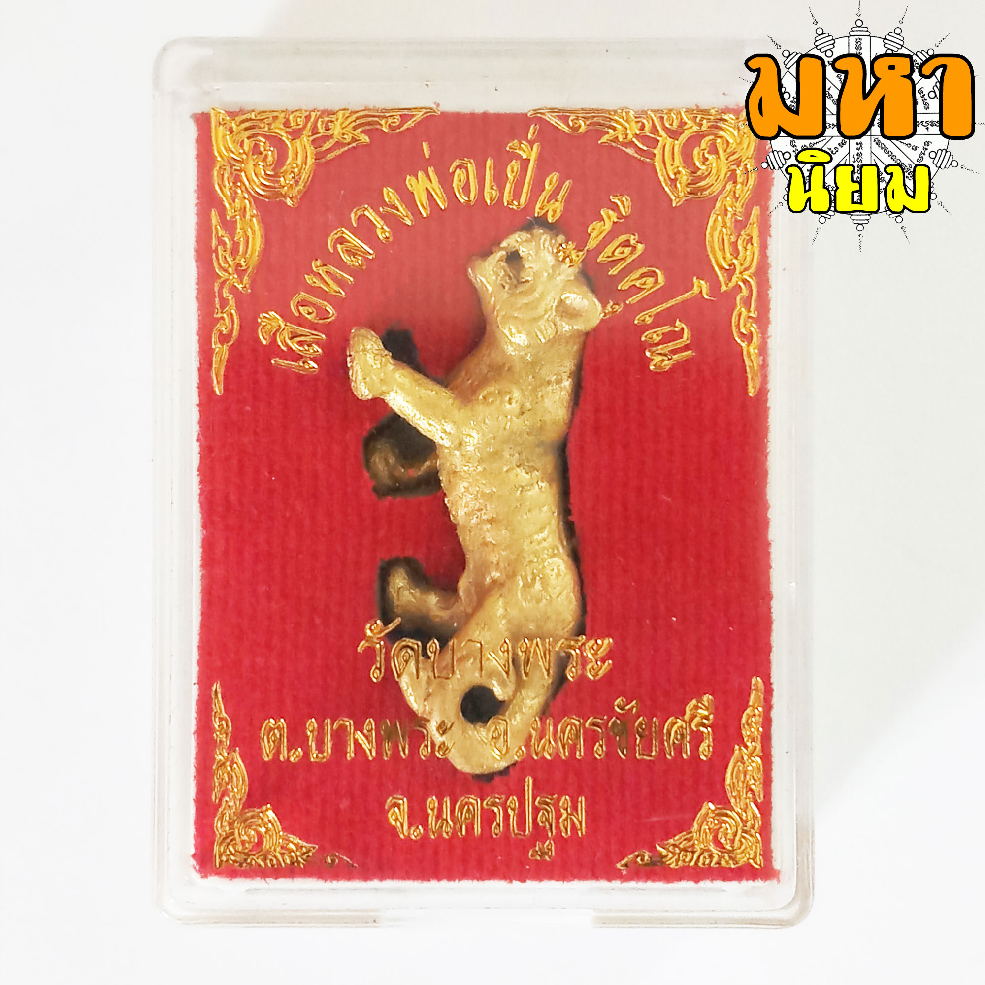 เสือหลวงพ่อเปิ่น ฐิตคุโณ วัดบางพระ จ.นครปฐม