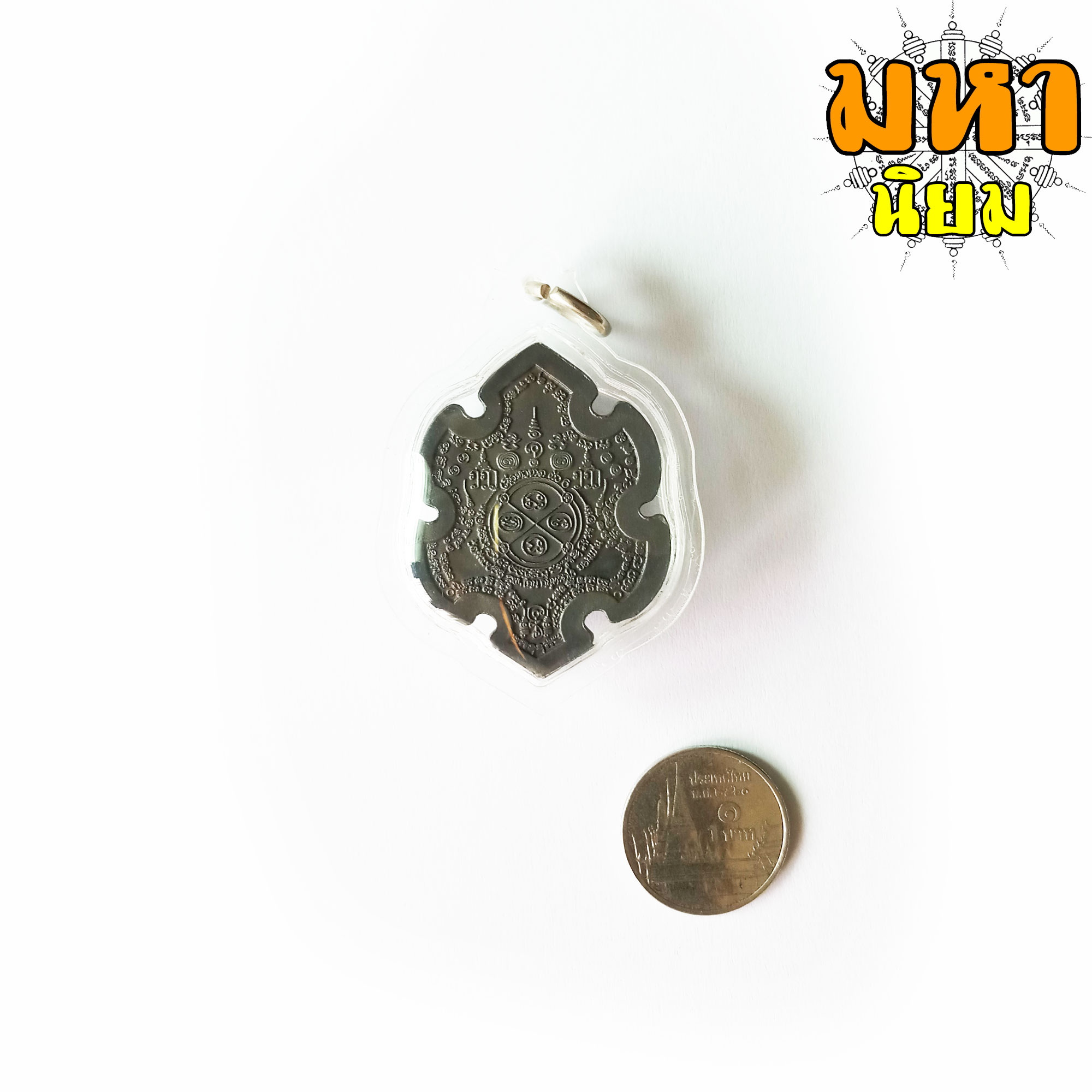 เหรียญเสือล่าเหยื่อ เสือหัวขาดตัวที่ 6 หลวงพ่อไฉน ฉนฺทสาโร จ.ขอนแก่น เนื้อนวะโลหะ เลี่ยมกรอบอย่างดี