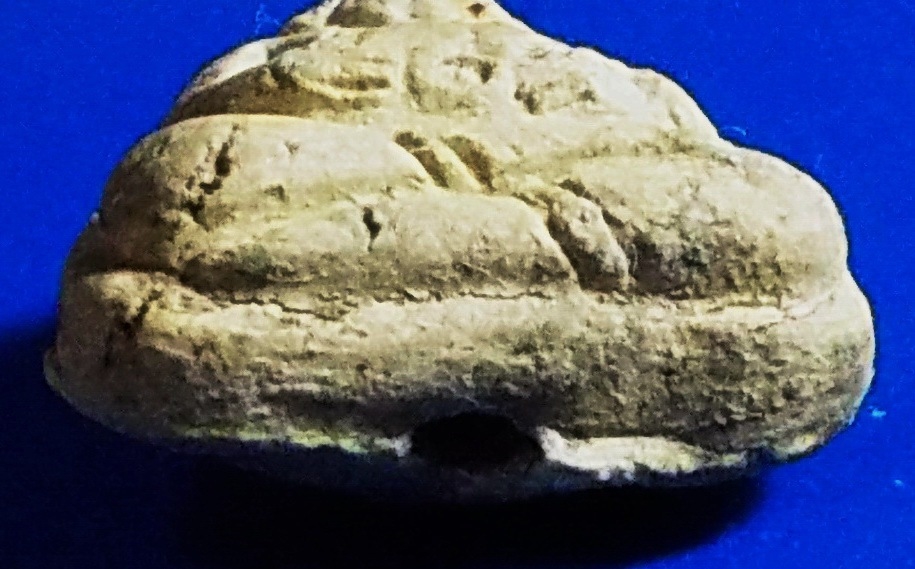 พระสังกัจจายน์ เนื้อผง วัดประสาท พิธีใหญ่ ปี 2506 #lnw994