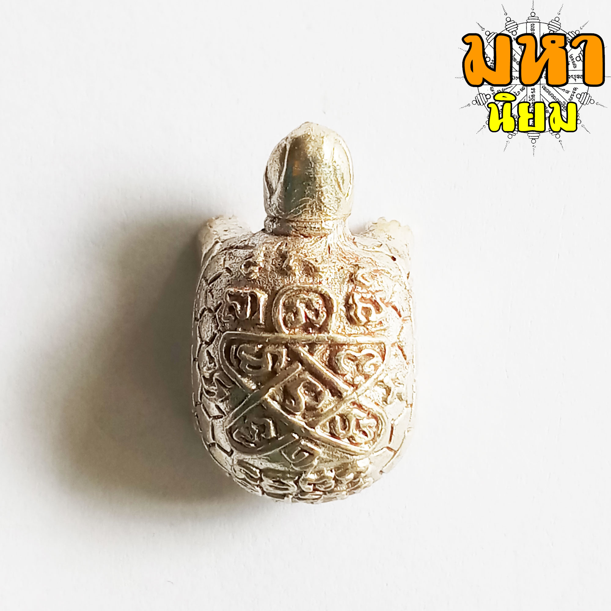 เต่า อิสริโก เนื้อกะไหล่เงิน หลวงปู่ทิม วัดละหารไร่ จ.ระยอง