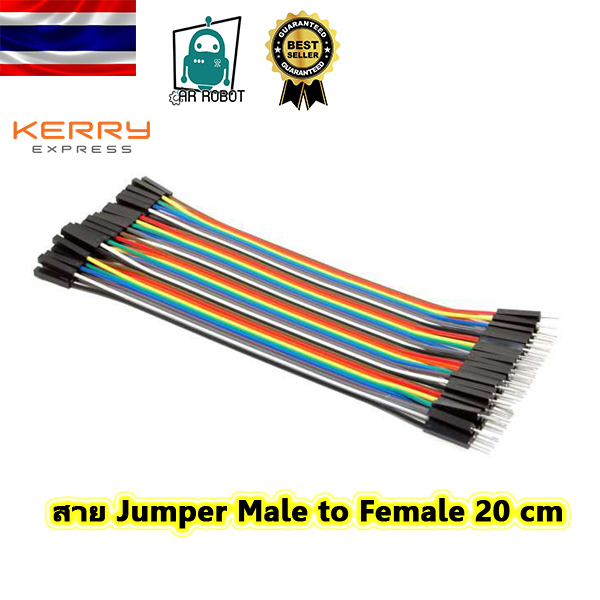 สาย Jumper Male to Female 20 cm