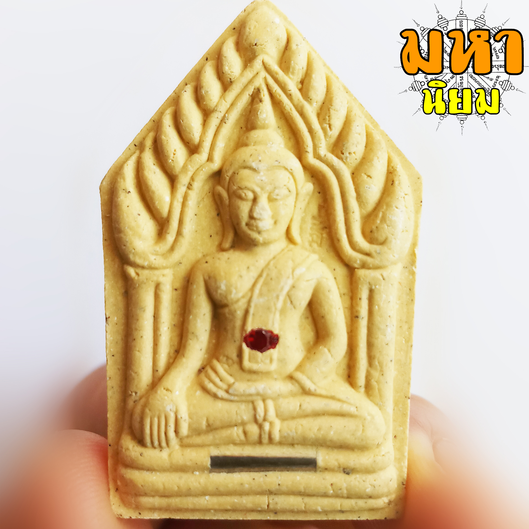 ครบ 8 รอบ หลวงปู่ทิม อตฺตสนฺโต วัดพระขาว จ.อยุธยา