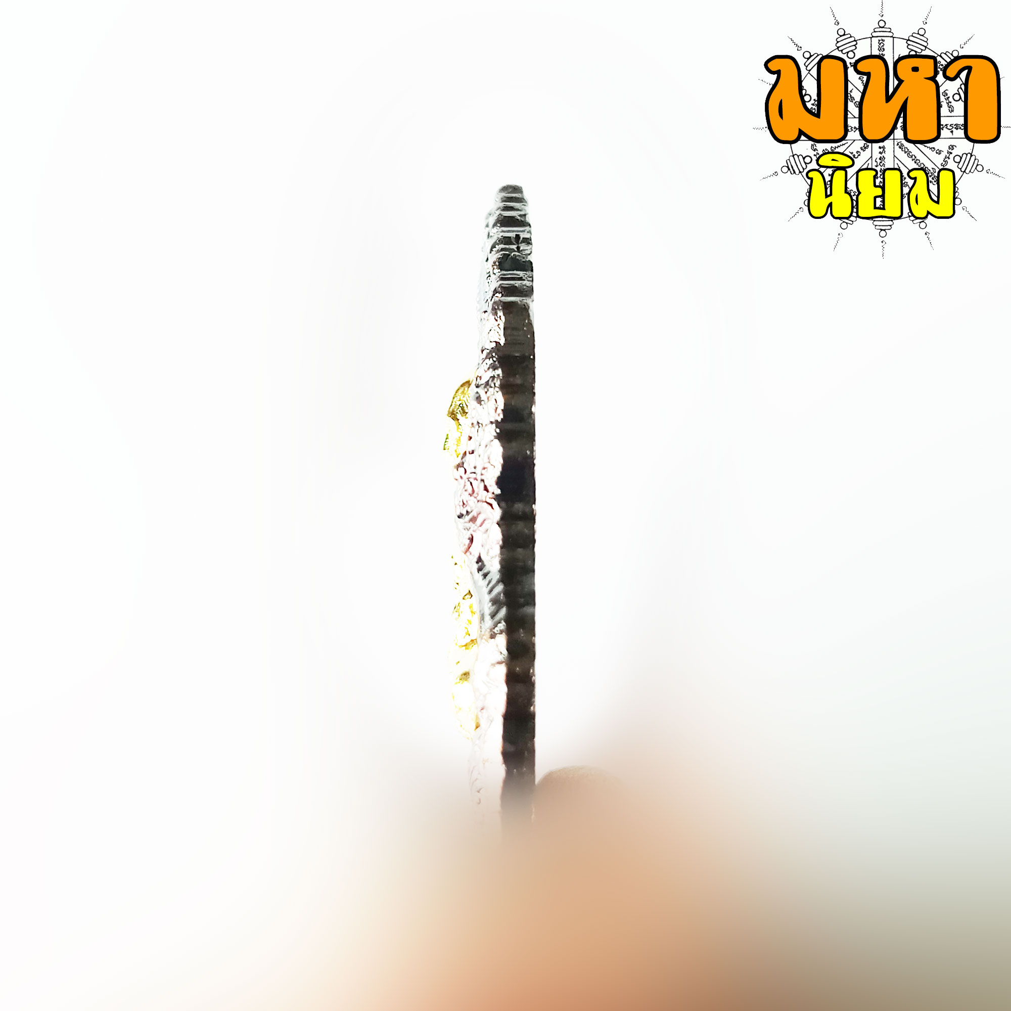 เหรียญอายุมั่น ขวัญยืน หลวงพ่อรวย ปาสาทิโก วัดตะโก จ.อยุธยา เนื้อรมดำ หน้ากากทอง