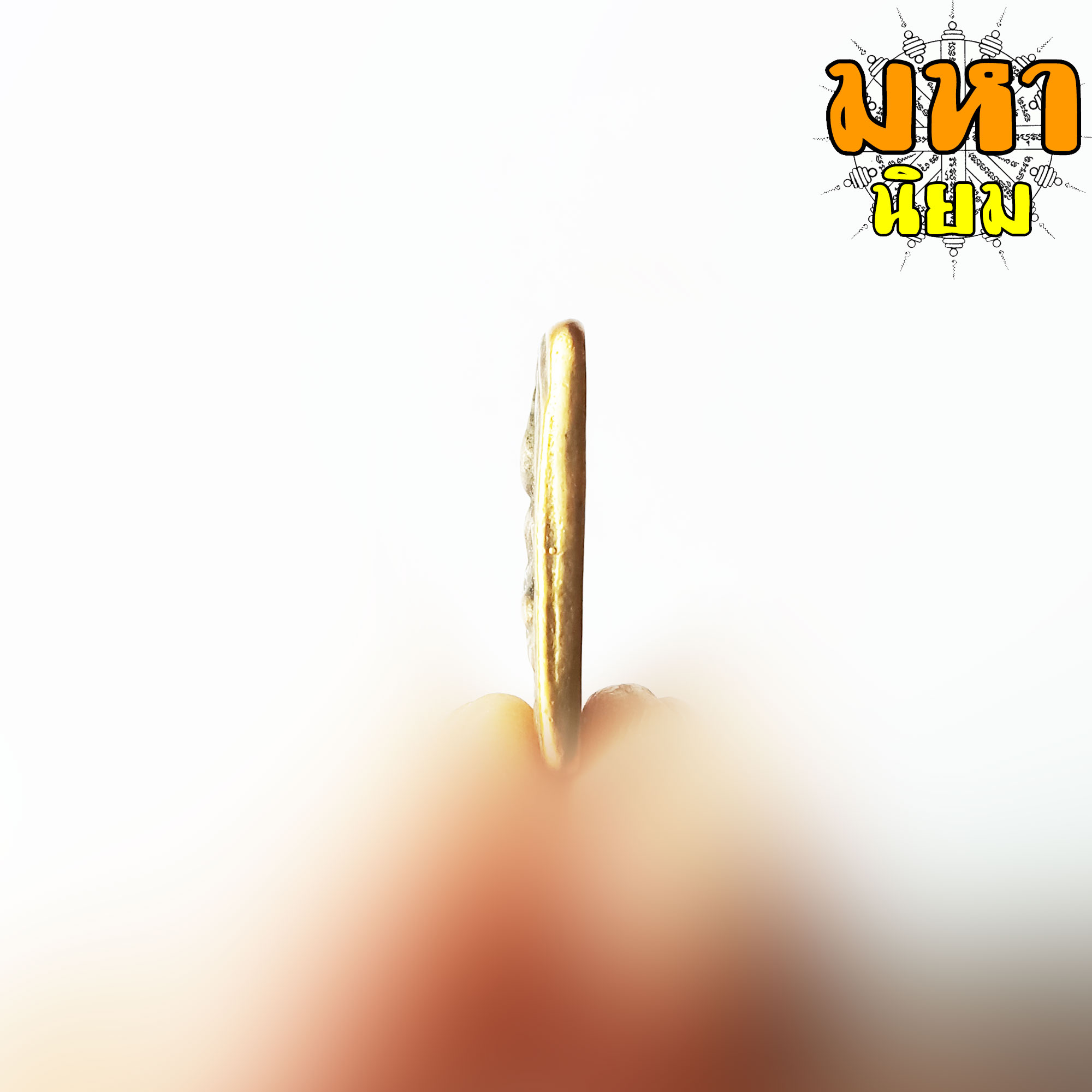 พระหลวงปู่ศุข พิมพ์ประภามลฑลรัศมี วัดคลองมะขามเฒ่า จ.ชัยนาท