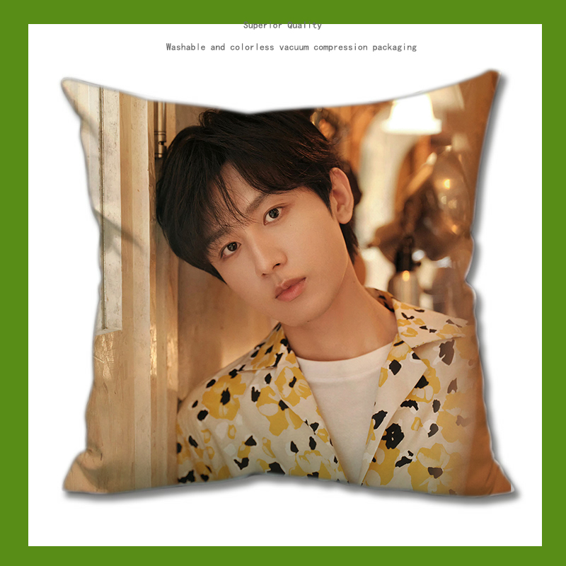 Pre - หมอนลายเฉิงอี้ ChengYi 40 cm หมอนดารา