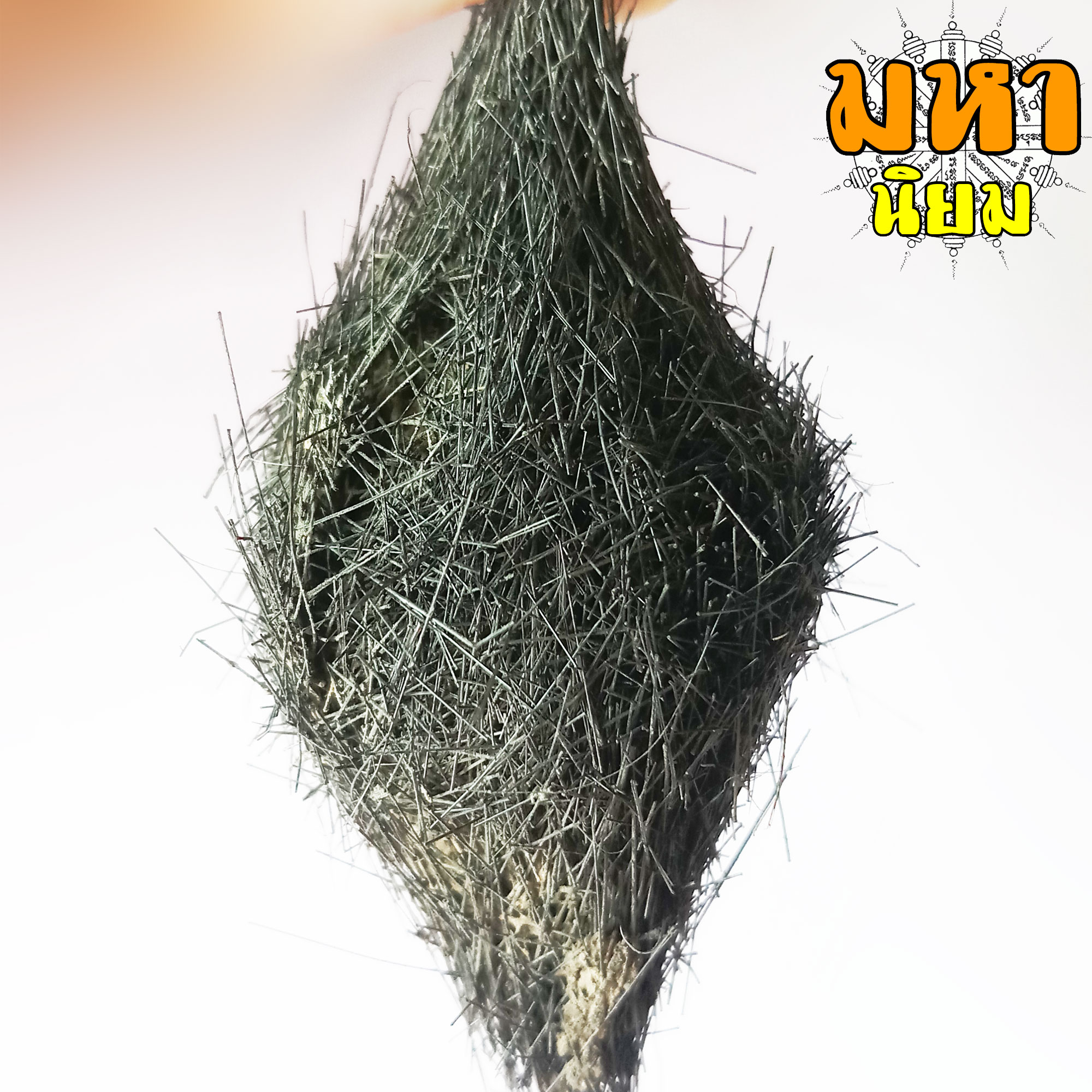 ช้องหมูป่า โปรดใช้วิจารณญาณ (ไม่สามารถเปิดเผยแหล่งที่มาได้)