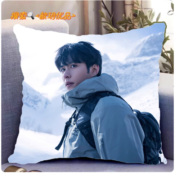 Pre - หมอนลาย DMBJ บันทึกส่วนตัวของอู๋เสีย บันทึกจอมโจรแห่งสุสาน เต้ามู่ปี่จี้ 40 cm