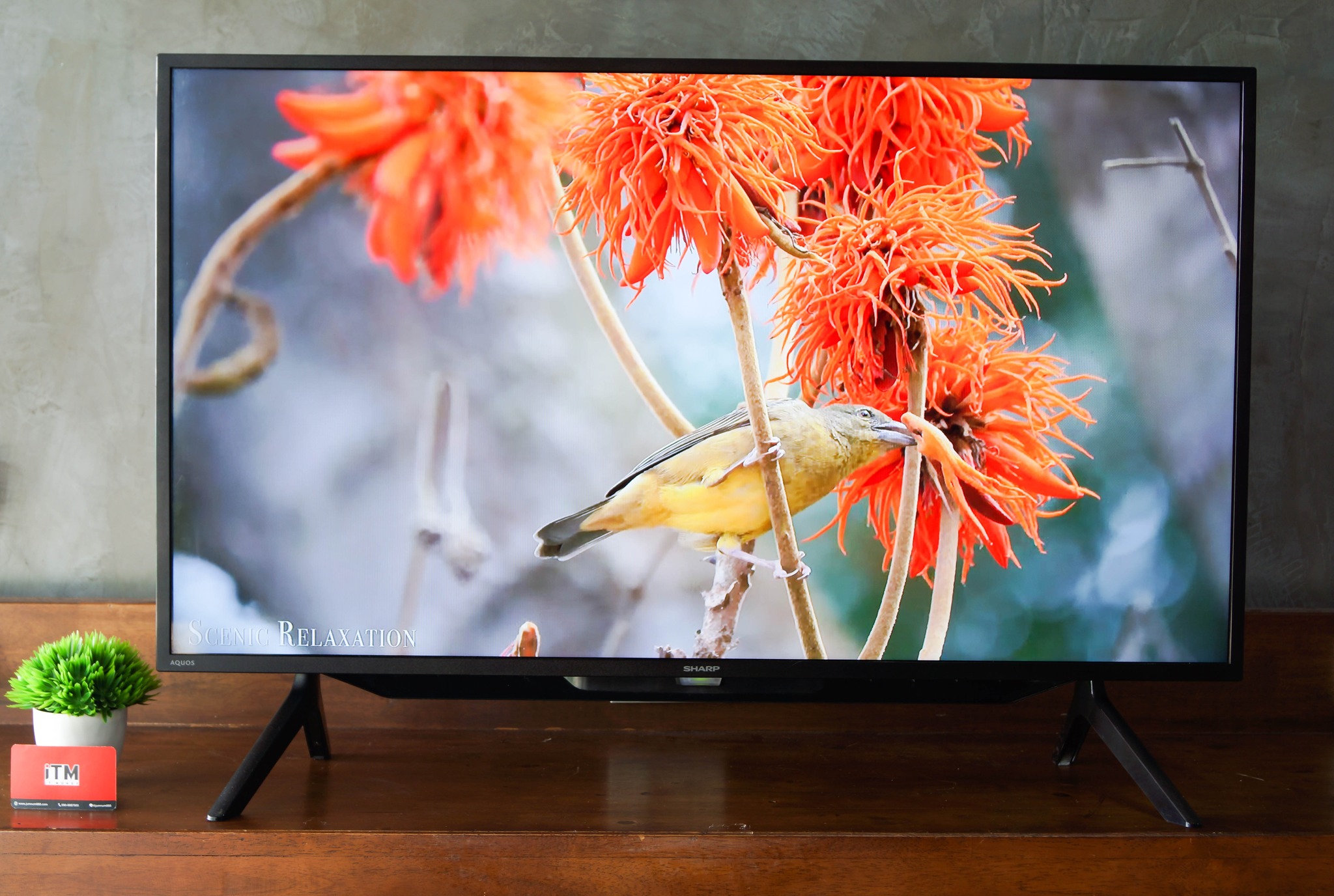 SHARP ทีวี FHD LED (42", Android) รุ่น 2T-C42BG1X