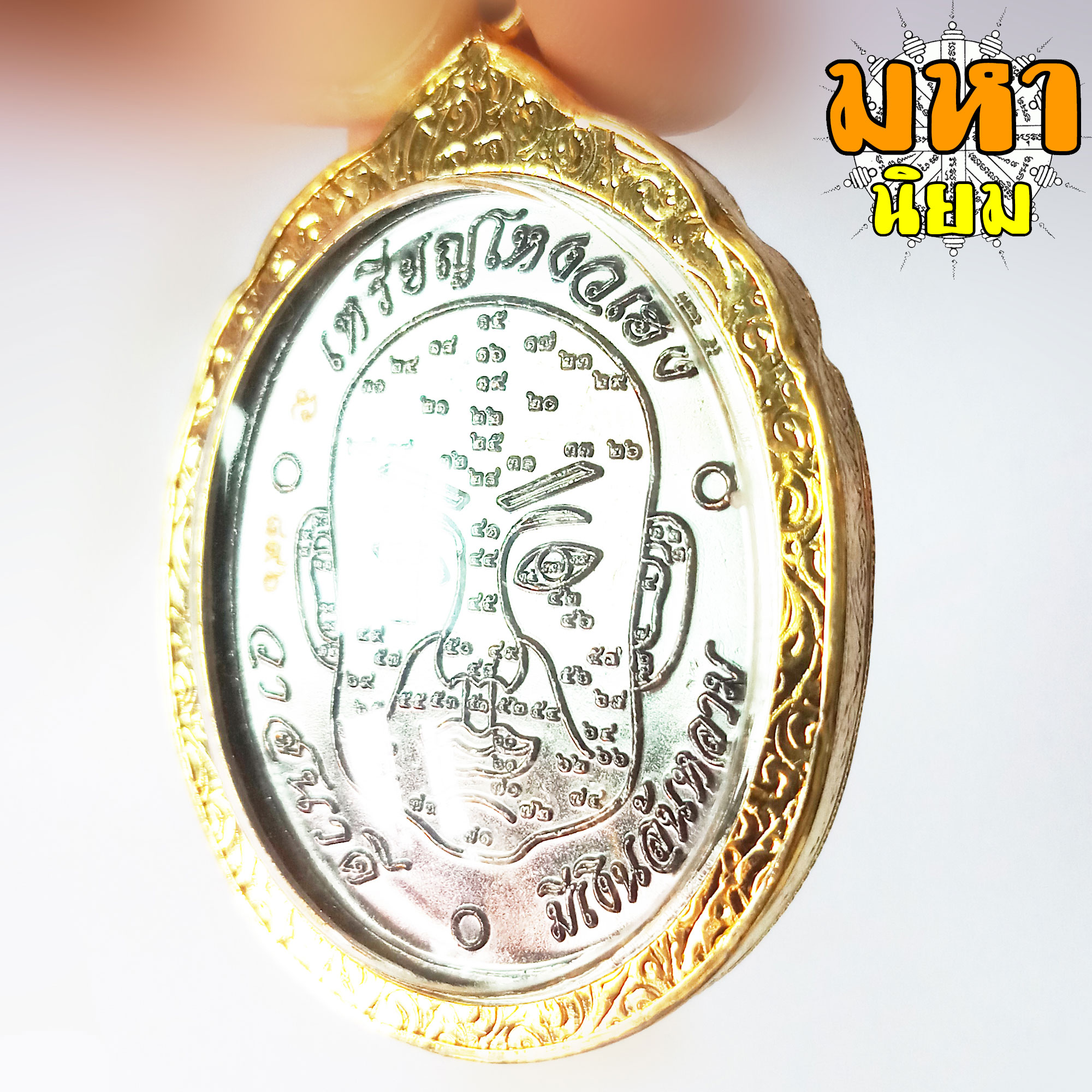 เหรียญโหงวเฮ้ง วาสนาดี มีเงินล้นหลาม หลวงปู่ทวด เหยียบน้ำทะเลจืด กรอบทองไมครอน พร้อมกล่องอย่างดี