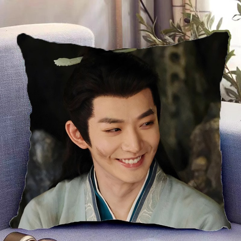 Pre - หมอนลาย เติ้งเหวย DengWei 40 cm ซีรี่ย์จีน หมอนอิง