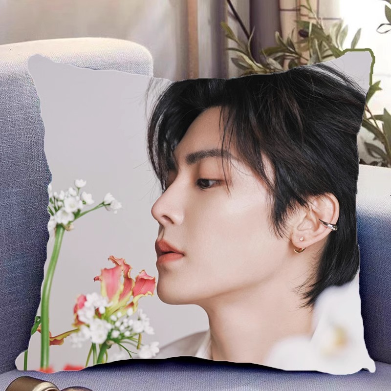 Pre - หมอนลาย โหวหมิงฮ่าว HouMinghao (ไม่ใช่สินค้าอฟช.) 40 cm.