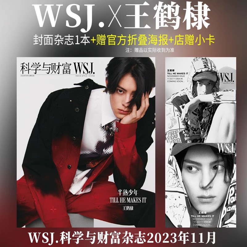 Pre - นิตยสาร WSJ. หวังเห้อตี้ DylanWang 2023