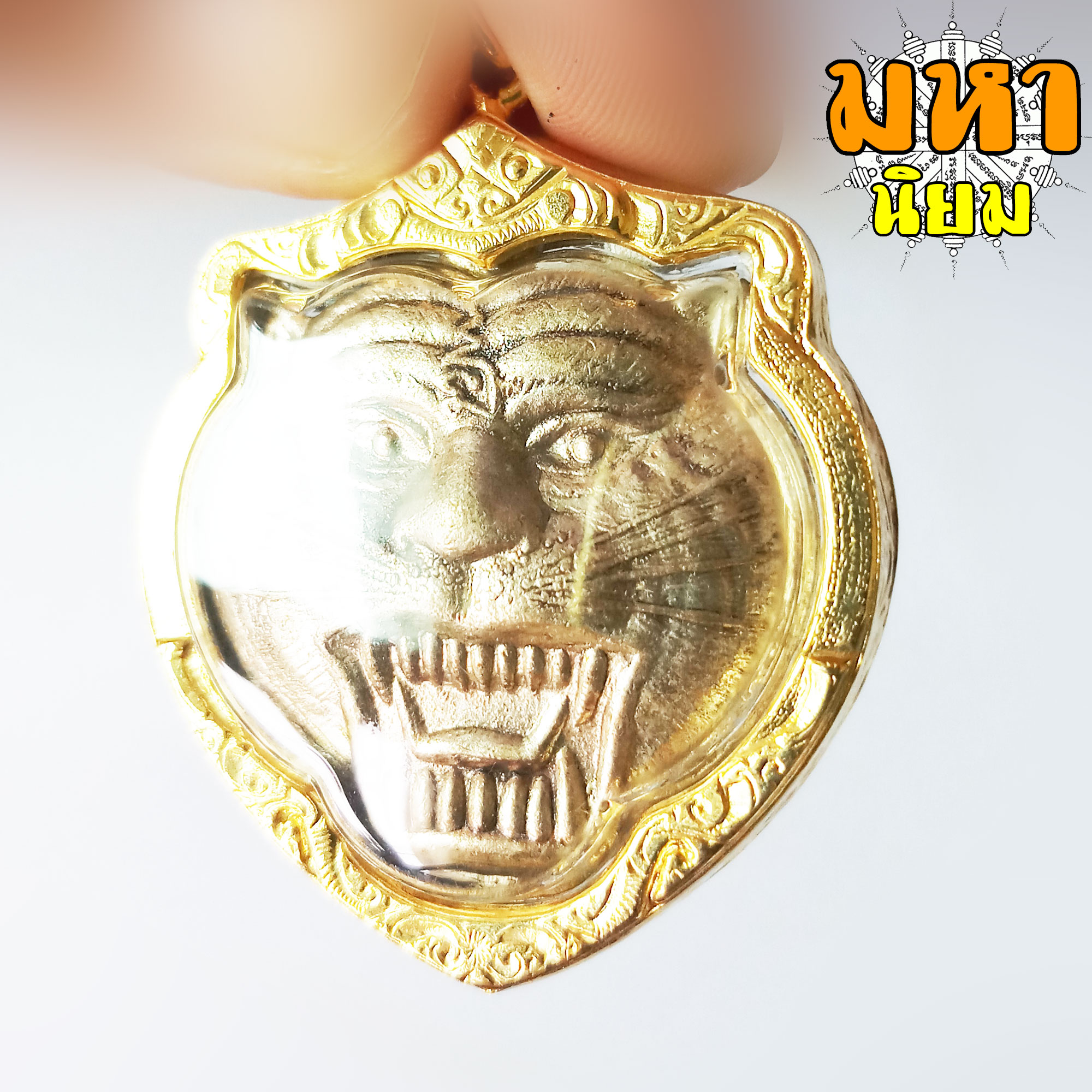 เหรียญหน้าเสือ บูชาครู หลวงพ่อเปิ่น วัดบางพระ กรอบทองไมครอน