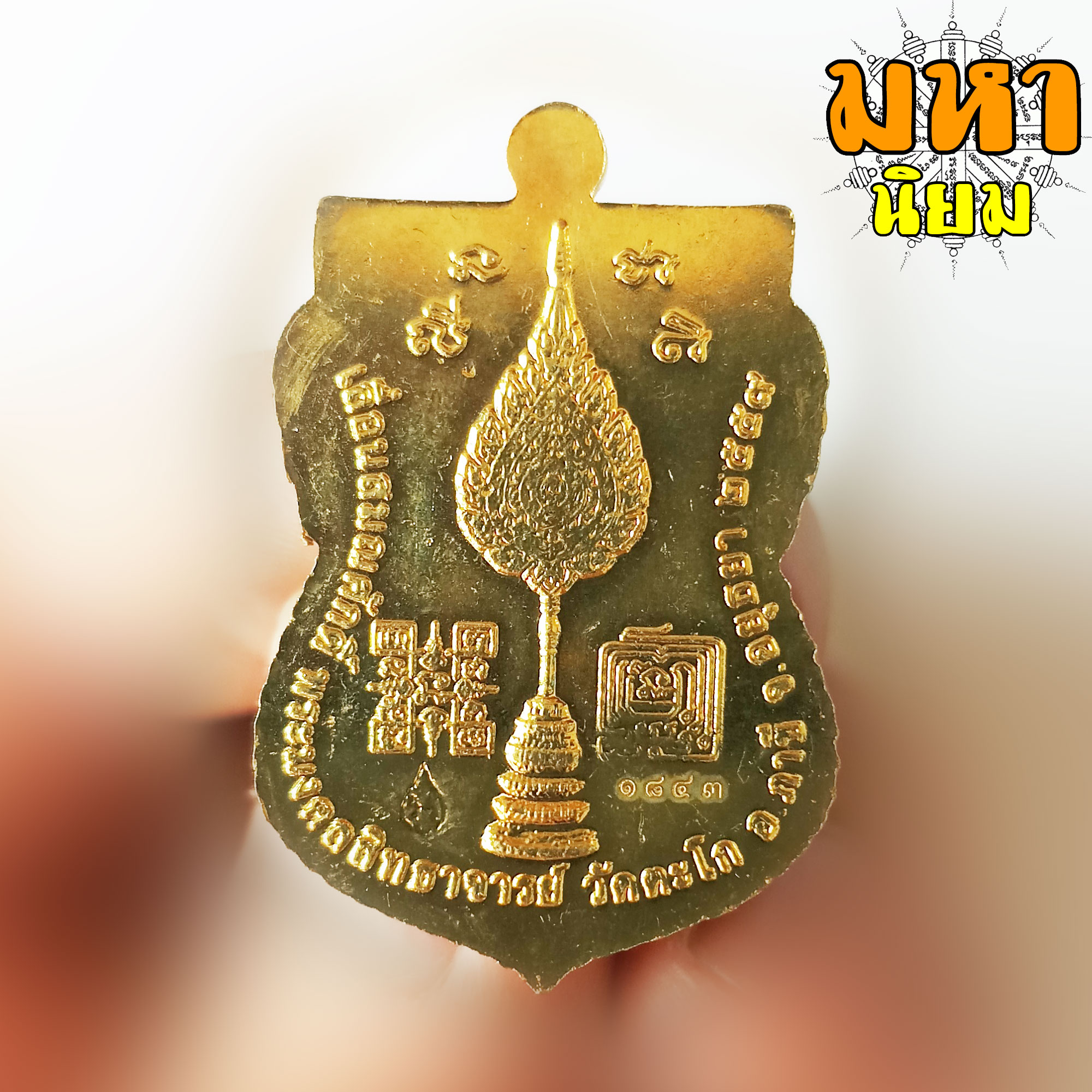 เหรียญเลื่อน หลวงพ่อรวย ปาสาทิโก วัดตะโก จ.อยุธยา พร้อมกล่อง