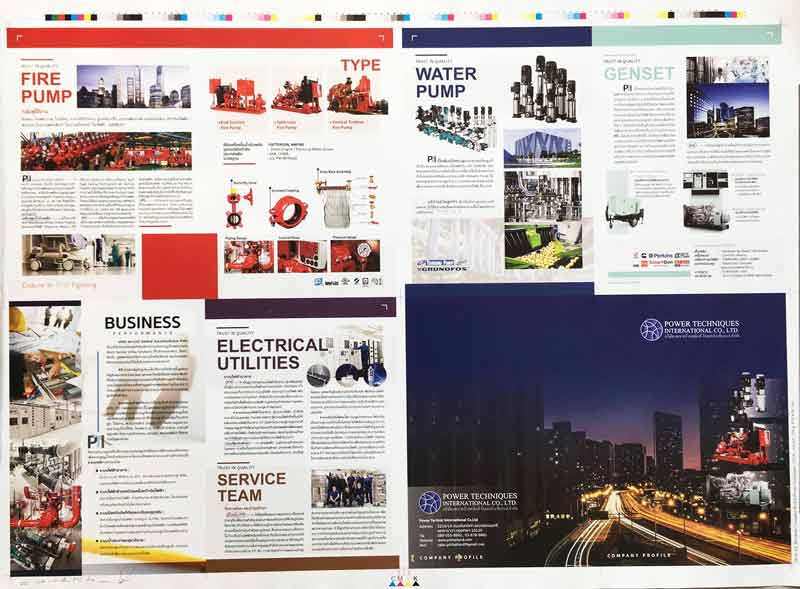 ออกแบบข้อมูลบริษัท และแคตตาล็อกสินค้า Company and Catalog