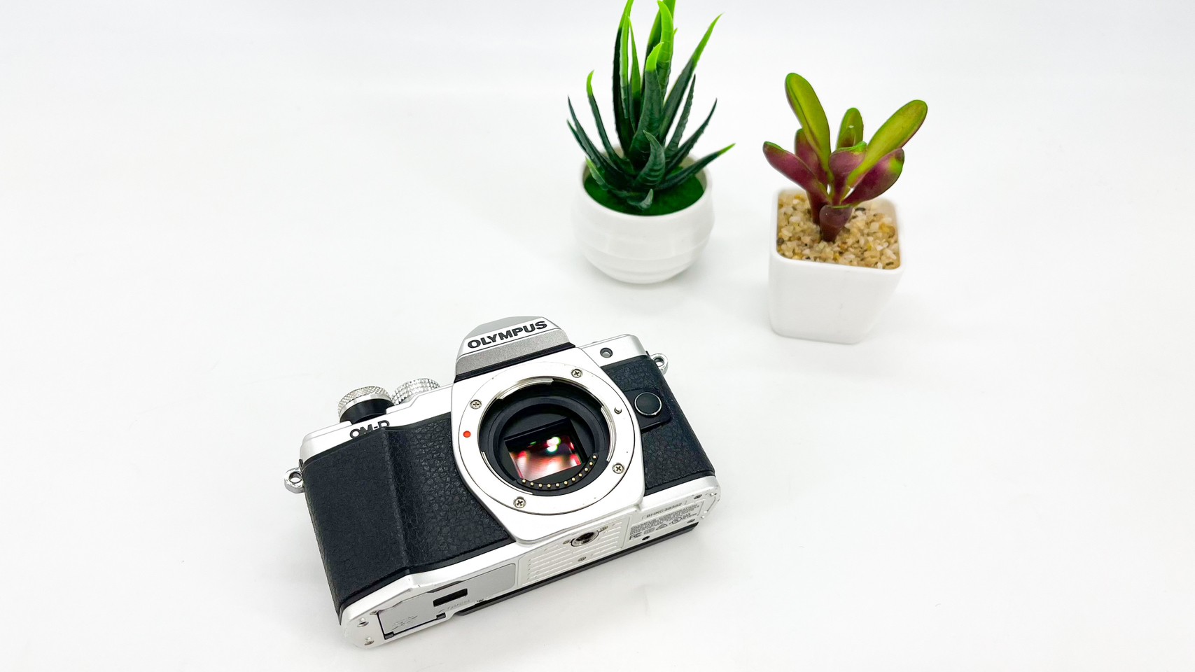 Olympus E-M10 Mark II + Lens 14-42 mm.
