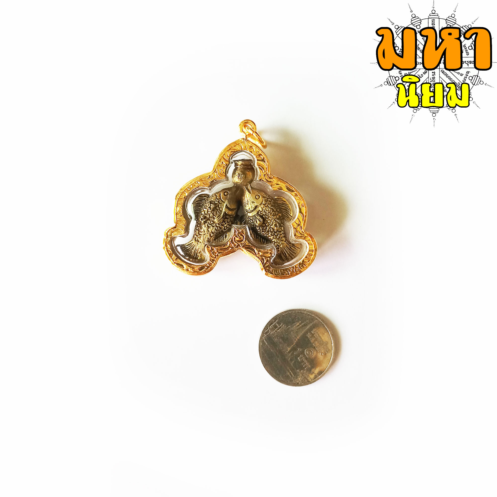 ปลาตะเพียนคู่ ชูหม้อ เงิน ทอง หลวงพ่อสง่า วัดบ้านหม้อ จ.ราชบุรี