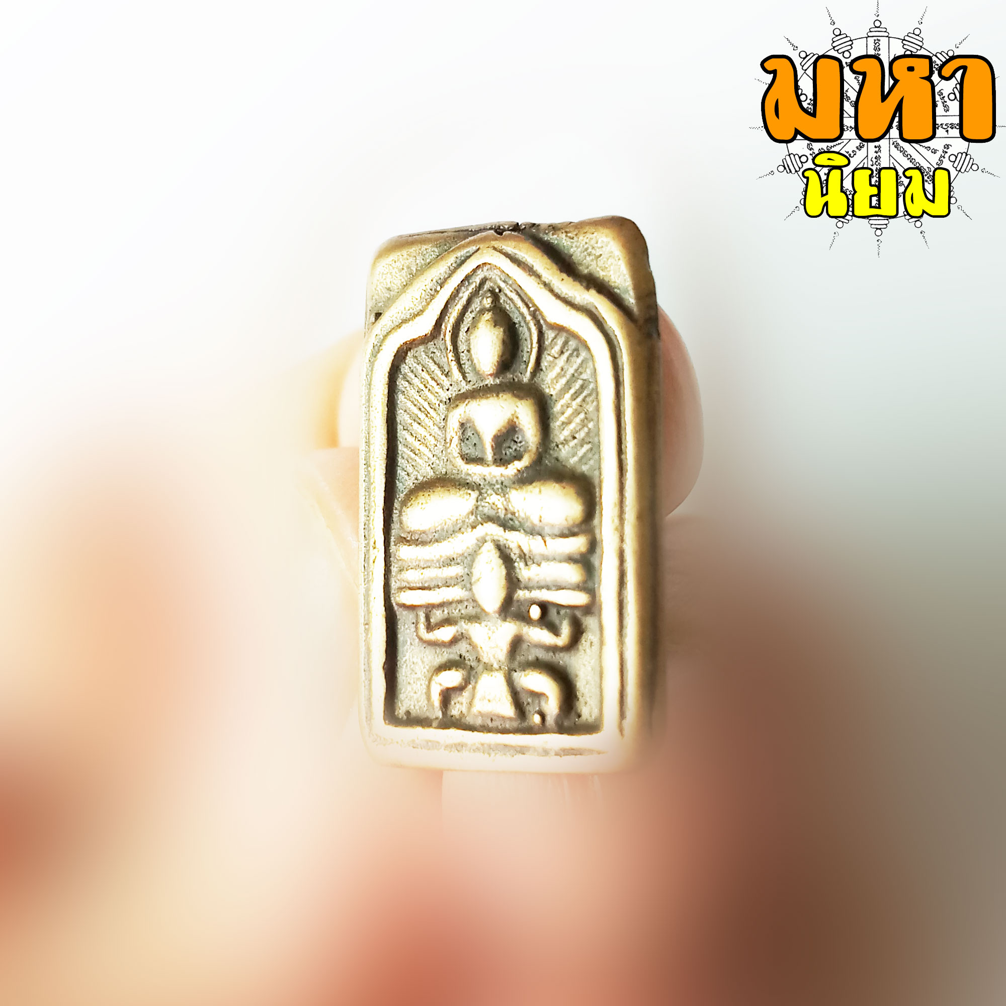 พระหลวงปู่ศุข พิมพ์ครุฑแบกแท่น วัดคลองมะขามเฒ่า จ.ชัยนาท