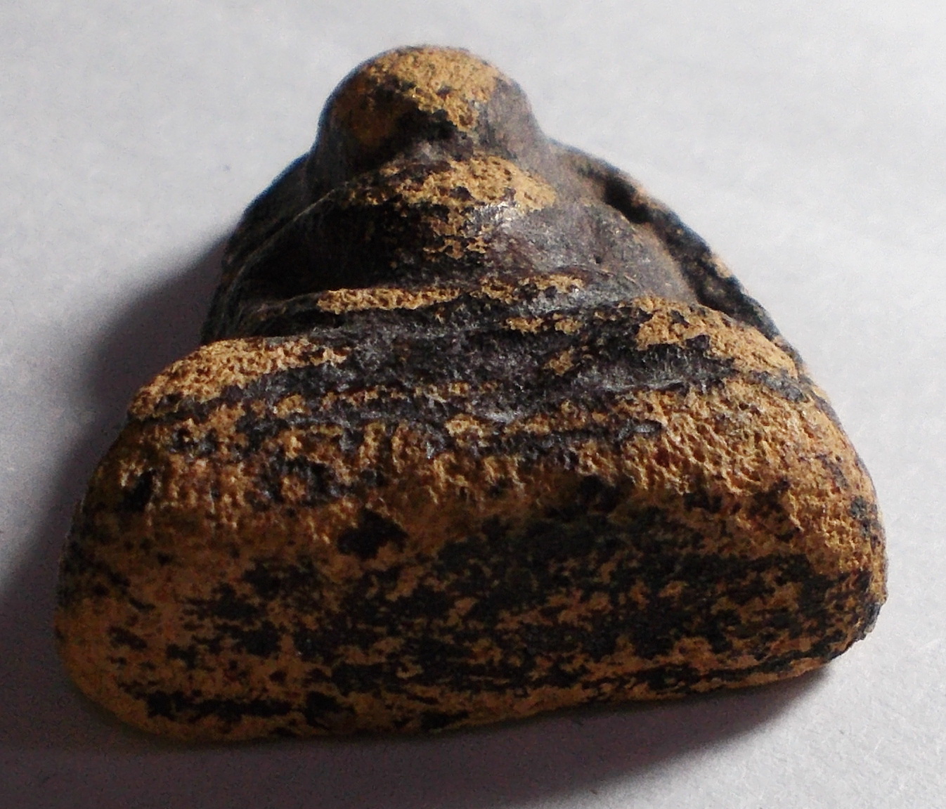 ลพ.โต เนื้อดิน ปางสมาธิ อยุธยา