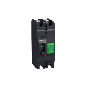 Schneider EZC250H เซอร์กิตเบรกเกอร์สวิตช์ตัดตอนอัตโนมัติ (MCCB) 2 โพล 36kA ขนาดเฟรม 250A EASYPACT (EZC)