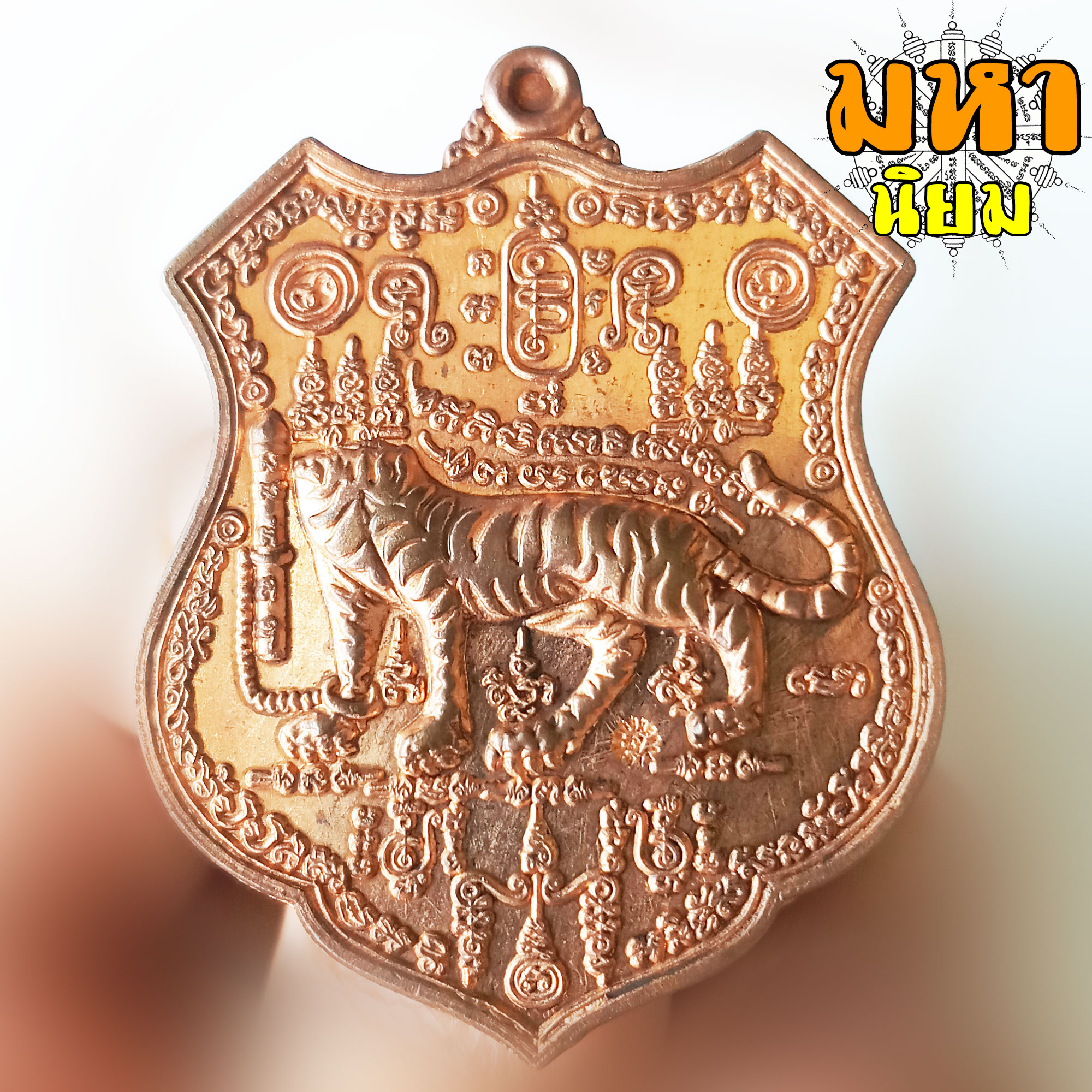 เหรียญเสือหัวขาดตัวหนึ่ง หลวงพ่อไฉน ฉนฺทสาโร จ.ขอนแก่น พร้อมกล่องอย่างดี