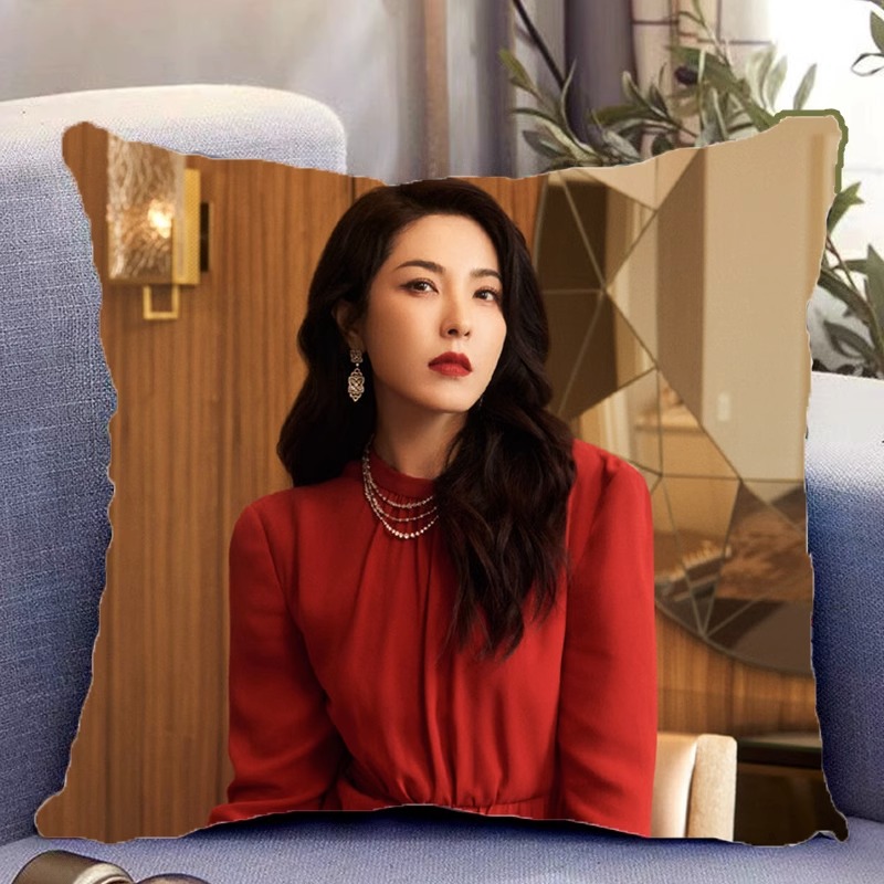 Pre - หมอนลาย zengli เจิงหลี 40 cm ซีรี่ย์จีน หมอนอิง