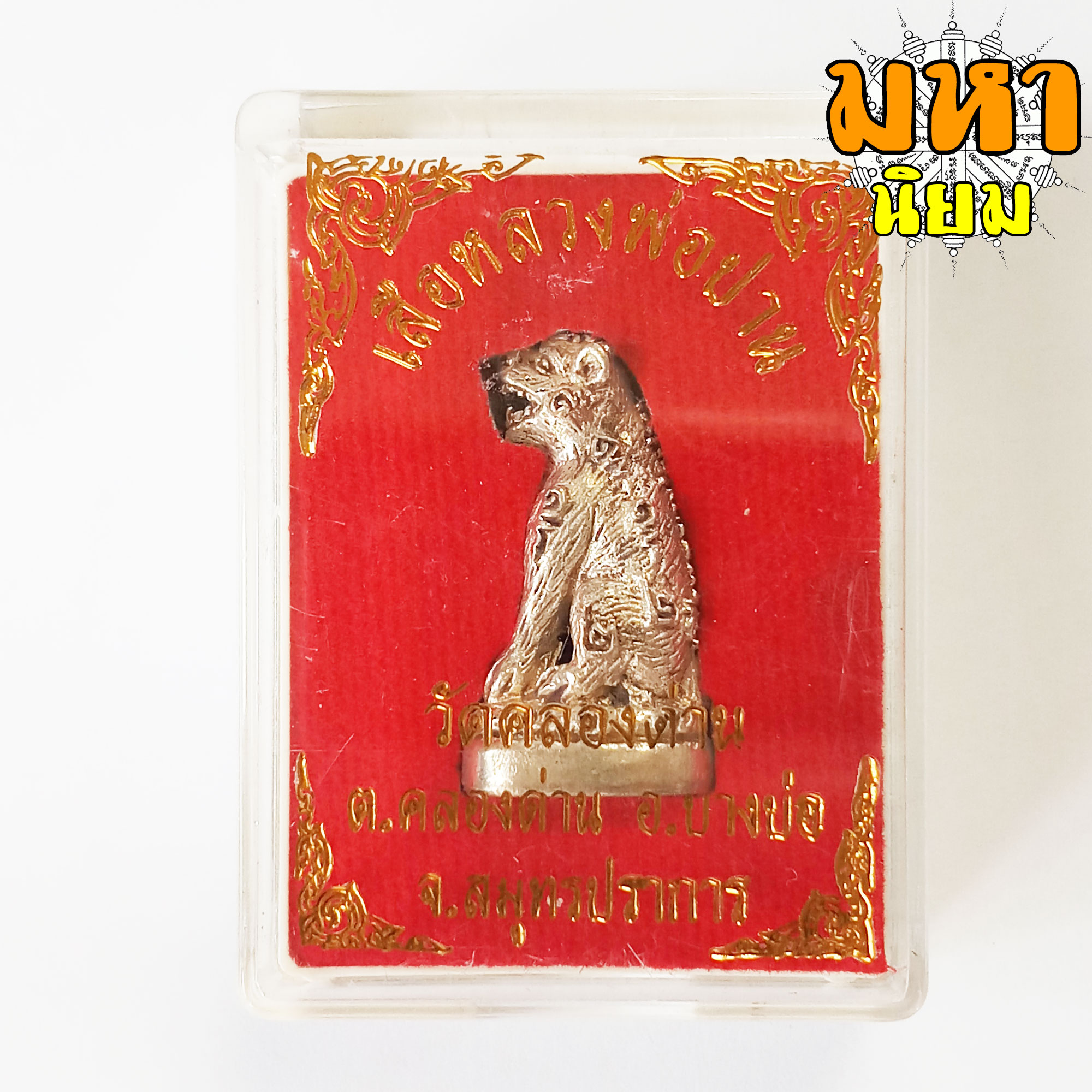 เสือหลวงพ่อปาน วัดคลองด่าน จ.สมุทรปราการ