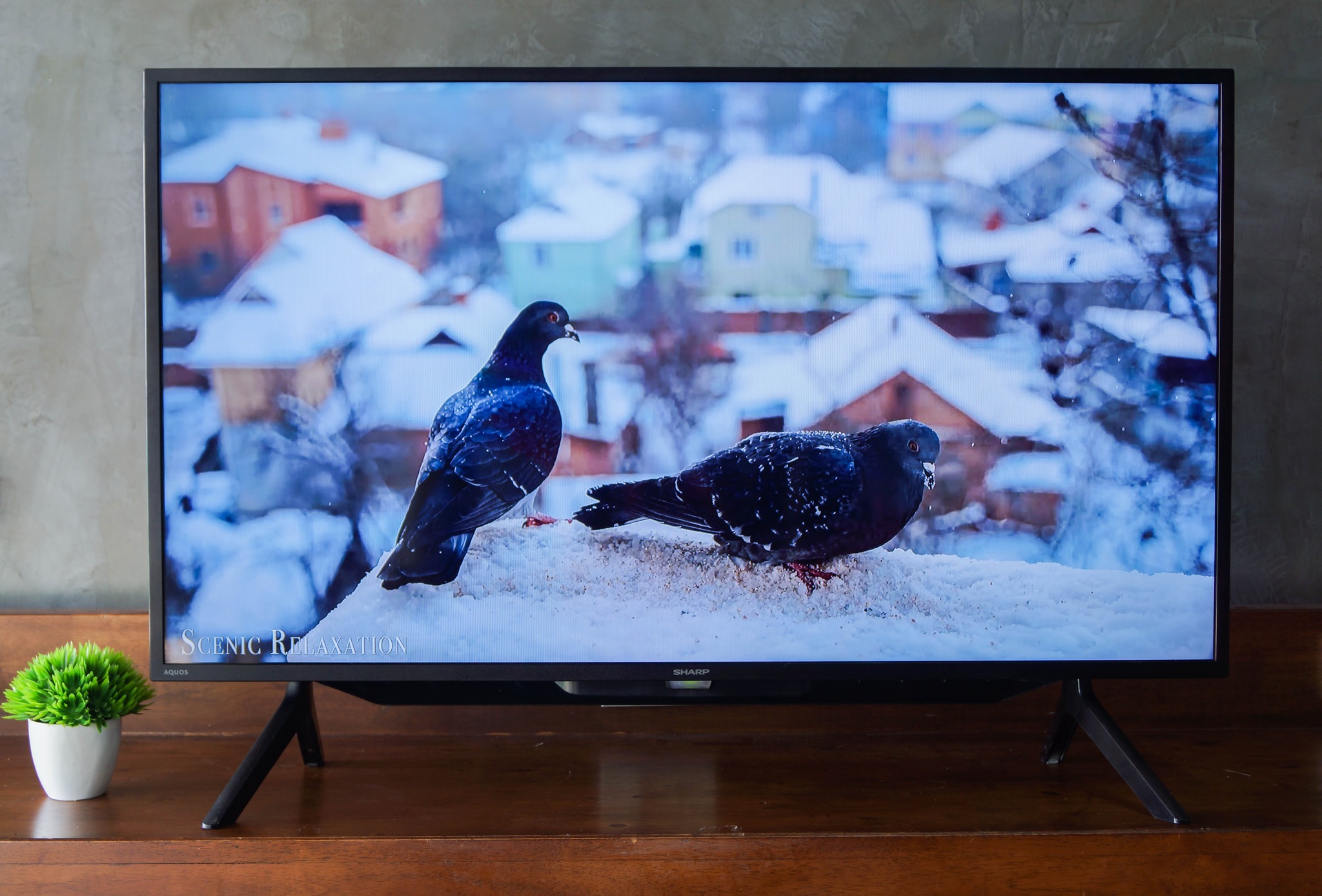 SHARP ทีวี FHD LED (42", Android) รุ่น 2T-C42BG1X