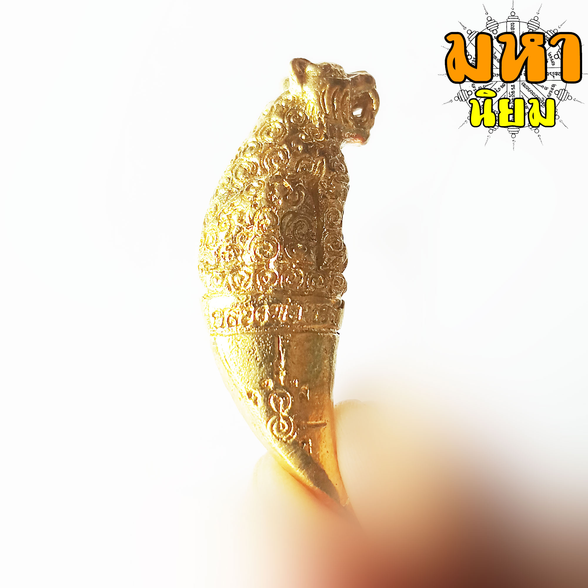 เขี้ยวเสือพุทธาคม หลวงพ่อหวล วัดชาวเหนือ จ.ราชบุรี