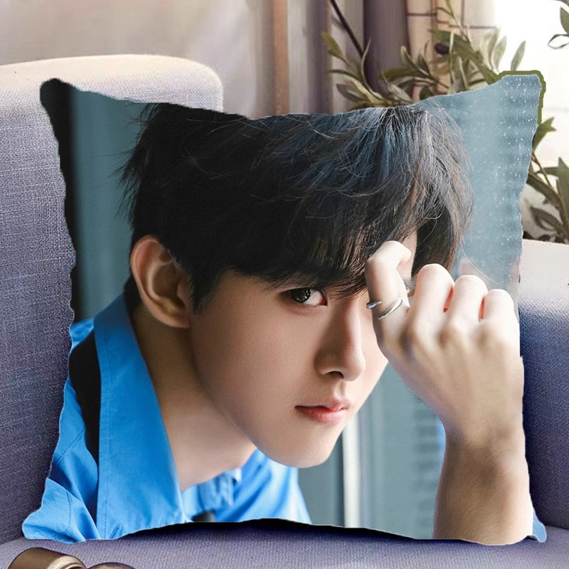 Pre - หมอนลายเถียนเจียรุ่ย 田嘉瑞 TianJiarui 40 cm