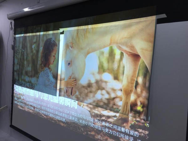 จอไฟฟ้า ALR Vivid Storm 100 นิ้ว 16:9