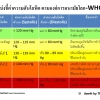 ความดันโลหิต (Blood Pressure)