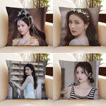 Pre - หมอนลาย BaiLu ไป๋ลู่ 40 cm - ระบุลาย