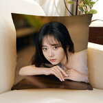 Pre - หมอนลายถานซงอวิ้น TanSongyun 40 cm หมอนดารา(ไม่ใช่สินค้าอฟช.)