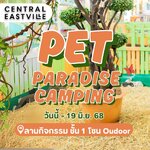 Pet Paradise Camping 13 - 19 มิถุนายน 2568