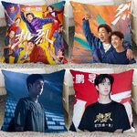 Pre - หมอนลายหวังอี้ป๋อ WangYibo 40 ซม.