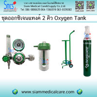 ชุดถังออกซิเจนพร้อมอุปกรณ์ 2 คิว (Oxygen Tank with Trolley 2)