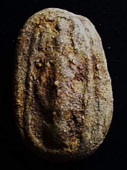 สมเด็จปิลันทน์ เปลวเพลิงเล็ก วัดระฆัง