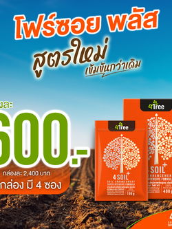 4SOIL plus โฟร์ซอย 1ซอง สารเสริมประสิทธิภาพสำหรับดิน สูตรเข้มข้น ช่วยลดปัญหาต่าง ๆ ของดิน 4tree