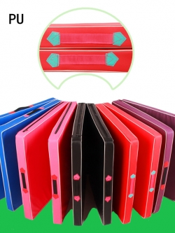 (สินค้าพรีออเดอร์) PSC6010P เบาะเทควันโด Vestibular Board ขนาด 200*100*5 CM