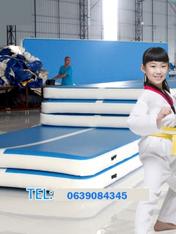 (พรีออเดอร์) เบาะเทควันโด ยิมนาสติก TCD10002